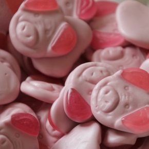 Percy Pig sent to slaughterhouse